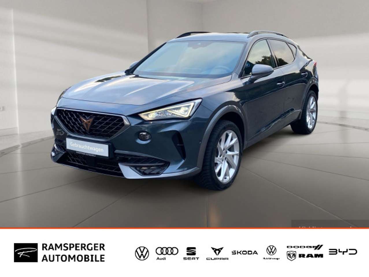 Cupra Formentor — Cupra Formentor 2.0 TDI LED/Kamera/Navi/Assist/uvm.