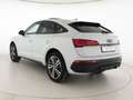 Audi Q5 Sportback 40TDI 204CV quattro S tronic S line Plus Weiß - thumbnail 3