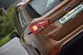 Ford B-Max Trend / Pickerl NEU / Sitzheizung / Bruin - thumbnail 6
