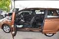 Ford B-Max Trend / Pickerl NEU / Sitzheizung / Brun - thumbnail 19