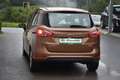 Ford B-Max Trend / Pickerl NEU / Sitzheizung / Brun - thumbnail 5