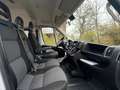 Fiat Ducato 3.0 Natural Power/CNG/Benzin 9 Sitze Pdc Weiß - thumbnail 6