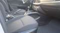 Fiat Tipo 5p 1.6 mjt Easy s&s 120cv - thumbnail 9