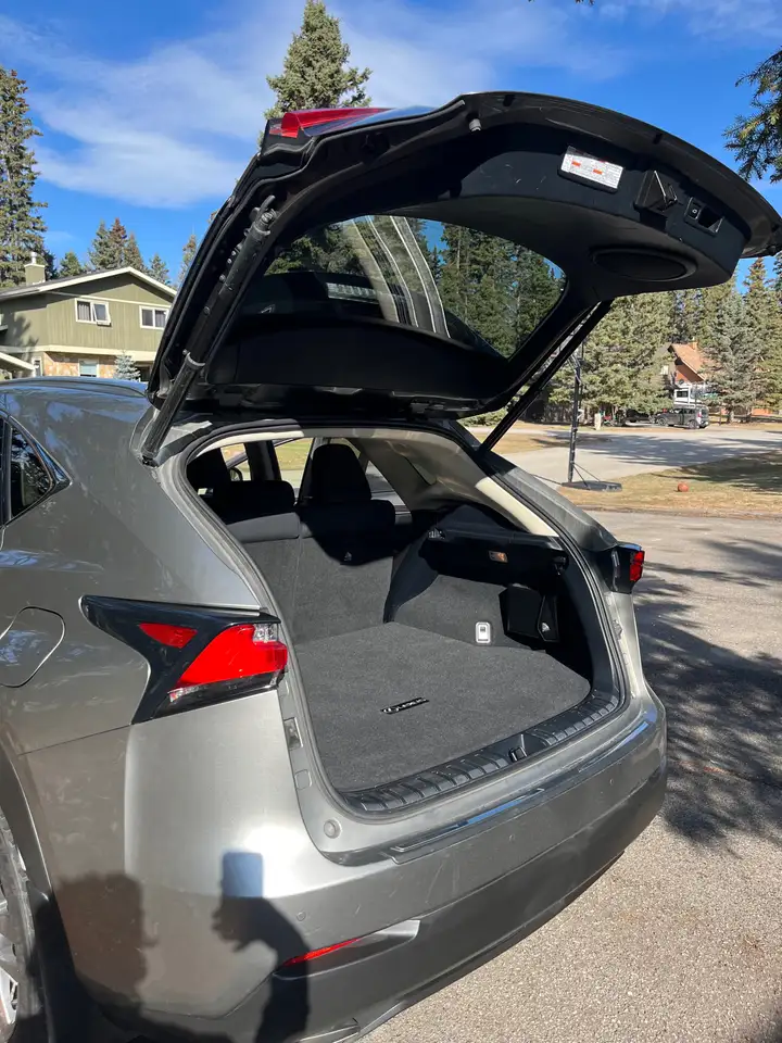 Lexus NX снимка Lexus NX