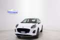 Ford Puma 1.0 EcoBoost 125cv HYBRID TITANIUM *LANE KEEPING* Bianco - thumbnail 3