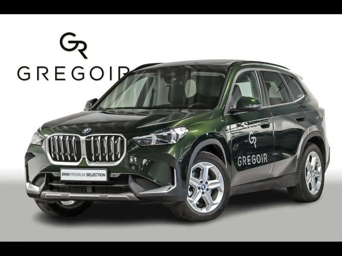 BMW iX1 xDrive30panocomfortCamTH Verde - 1