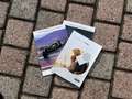 Ford Kuga Kuga 1.5 ecoblue Connect 2wd 120cv Grau - thumbnail 13