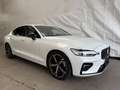 Volvo S60 B5  Plus Dark Pano  Leder CarPlay Led Kamera Blanco - thumbnail 3