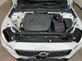 Volvo S60 B5  Plus Dark Pano  Leder CarPlay Led Kamera Blanco - thumbnail 14