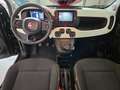 Fiat Panda 1.0 HYBRID 70 CV PANDINA CROSS Noir - thumbnail 10