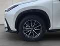 Lexus Sonstige NX350h 4x4 Executive Alle Extras Modell2026 Weiß - thumbnail 8
