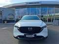 Mazda CX-5 2.2 SKYACTIV-D Homura AWD Aut. * NUR 15.000 KM Weiß - thumbnail 4
