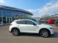 Mazda CX-5 2.2 SKYACTIV-D Homura AWD Aut. * NUR 15.000 KM Weiß - thumbnail 11