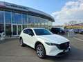 Mazda CX-5 2.2 SKYACTIV-D Homura AWD Aut. * NUR 15.000 KM Weiß - thumbnail 3