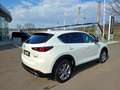 Mazda CX-5 2.2 SKYACTIV-D Homura AWD Aut. * NUR 15.000 KM Weiß - thumbnail 10