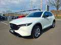 Mazda CX-5 2.2 SKYACTIV-D Homura AWD Aut. * NUR 15.000 KM Weiß - thumbnail 5