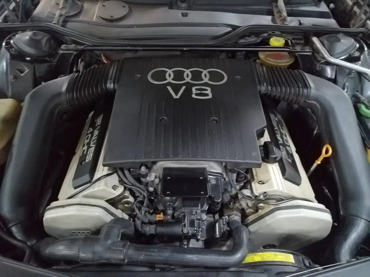 Audi A8 modelo V8. D11, foto 6