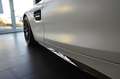 Mercedes-Benz AMG GT Edition 50 AMG Performance Dynamik Plus Weiß - thumbnail 9