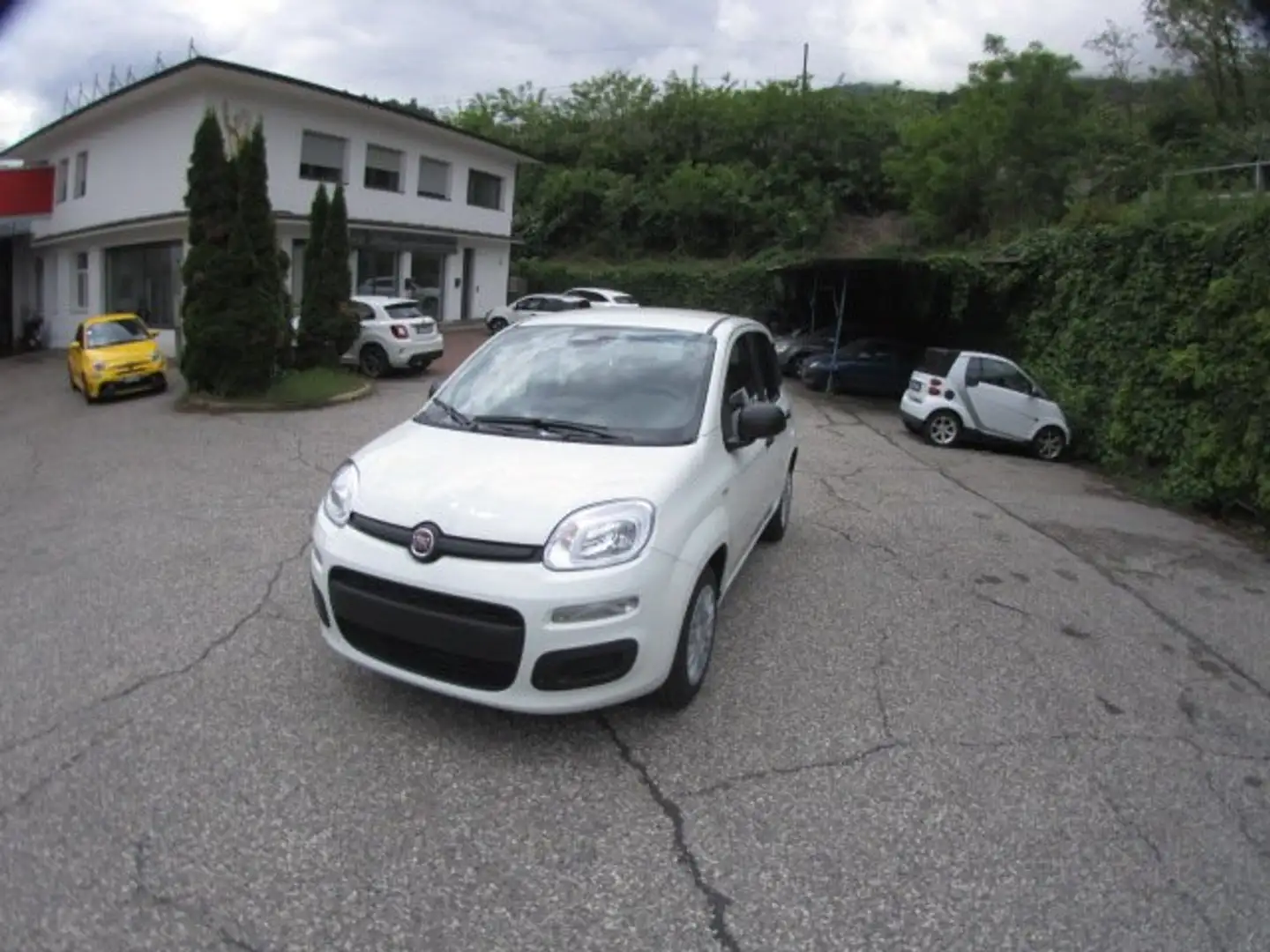 Fiat Panda Panda 1.0 firefly hybrid s Blanc - 1