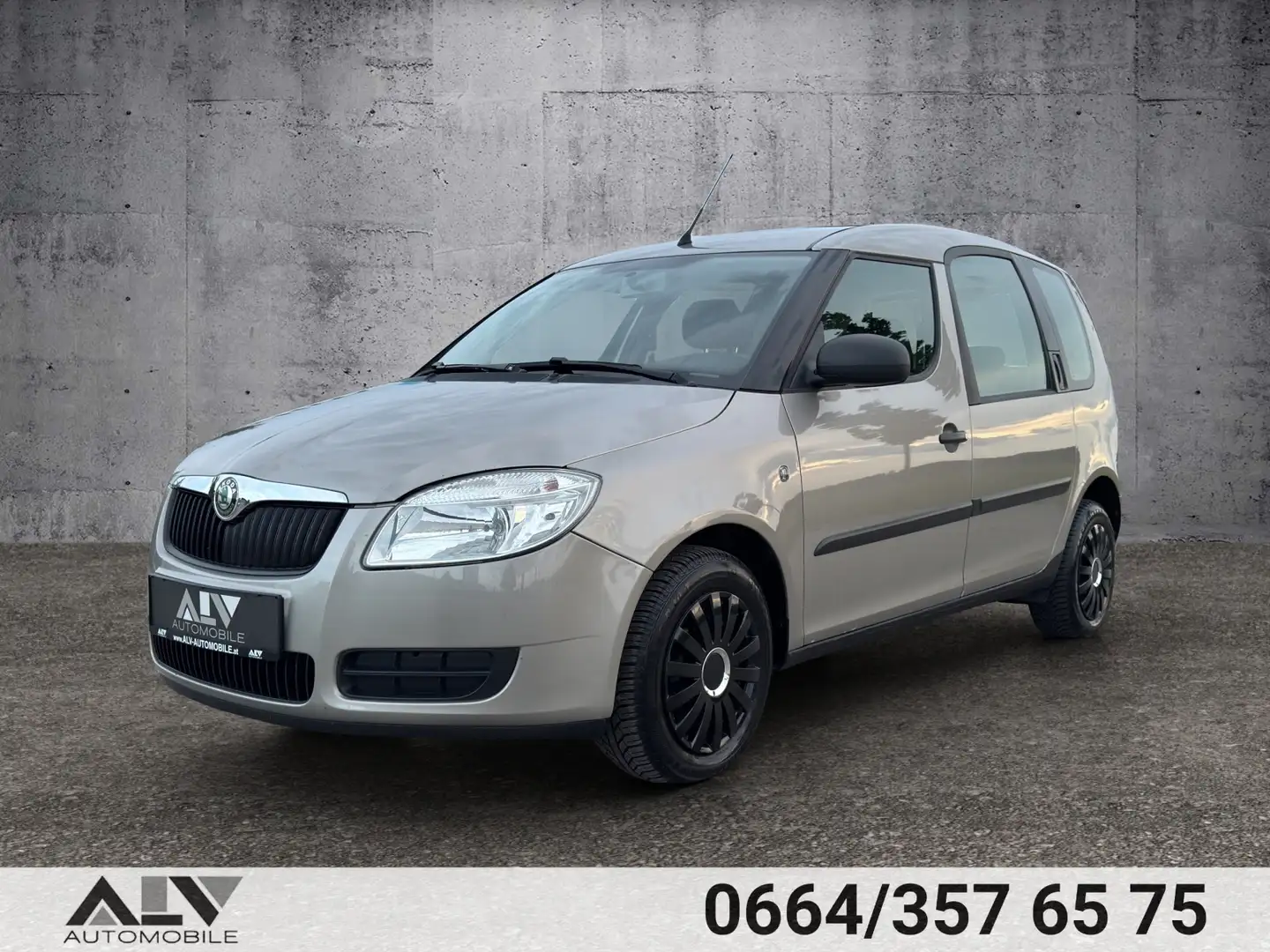 Skoda Roomster Basis Gris - 2