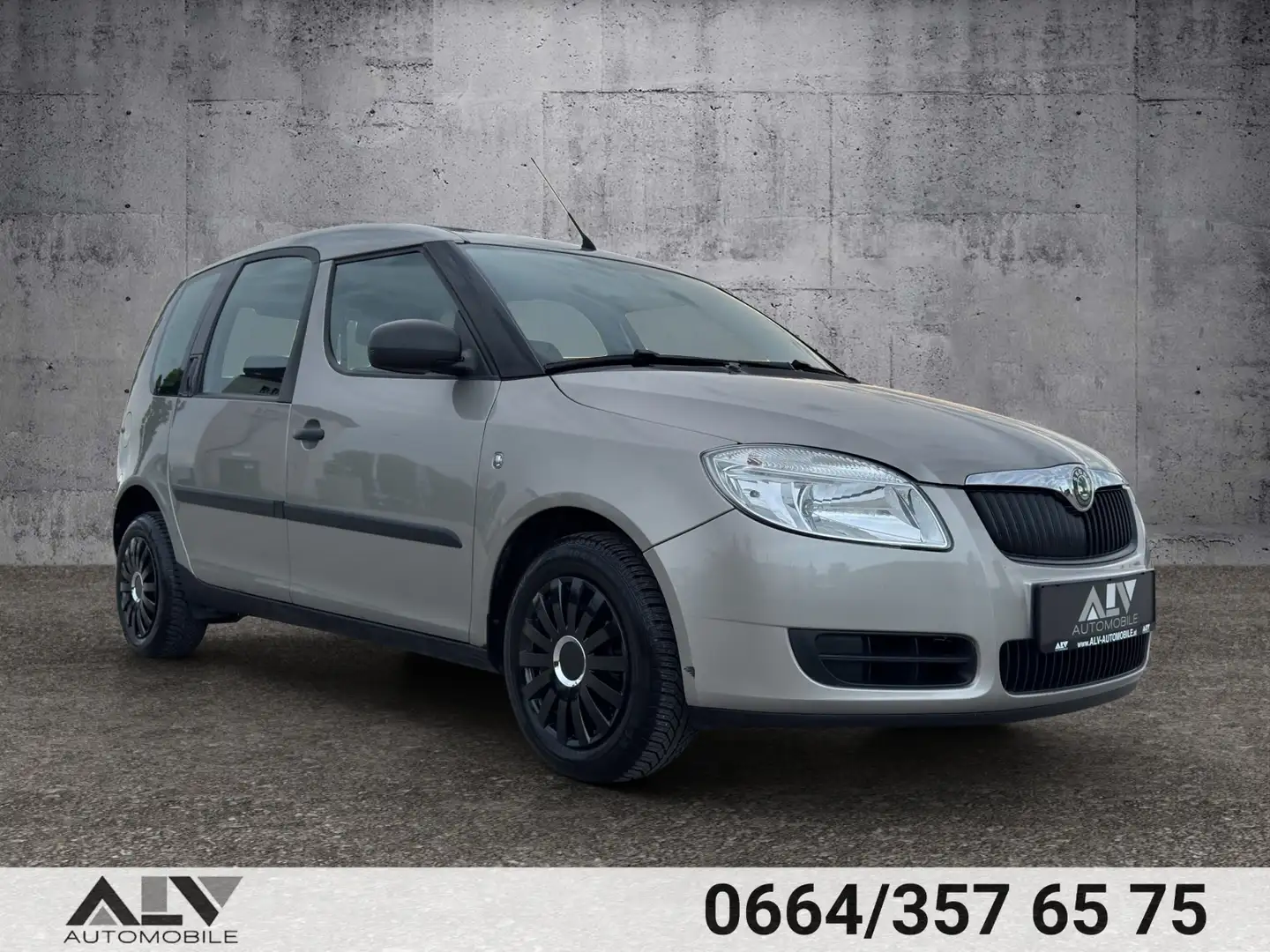 Skoda Roomster Basis Gris - 1