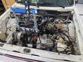 Volkswagen Golf Cabriolet Golf Cabrio (GLI) - thumbnail 15