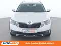 Skoda Octavia 2.0 TDI Scout 4x4 Weiß - thumbnail 9