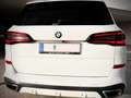 BMW X5 M xDrive30d 48V Aut.  M-SPORT PAKET Blanc - thumbnail 24