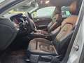 Audi A4 Avant 3.0 tdi Business Plus quattro 245cv s-tronic Argento - thumbnail 6