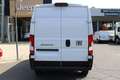 Fiat Ducato Ducato Maxi L3H2 140 Automatik 10Zoll uvm.. Net... Weiß - thumbnail 5