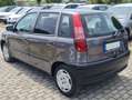 Fiat Punto 5p 1.2 Star 60cv Grigio - thumbnail 4