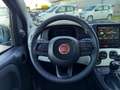 Fiat Panda Panda 1.0 firefly hybrid s&s 70cv 5p.ti Noir - thumbnail 21