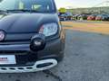 Fiat Panda Panda 1.0 firefly hybrid s&s 70cv 5p.ti Noir - thumbnail 18