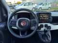 Fiat Panda Panda 1.0 firefly hybrid s&s 70cv 5p.ti Noir - thumbnail 8