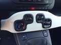 Fiat Panda Panda 1.0 firefly hybrid s&s 70cv 5p.ti Noir - thumbnail 10