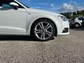 Audi A3 S-LINE  Sportback 2.0 tdi 150cv Bianco - thumbnail 15