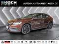 Volvo V40 Cross Country V40 CC T4 Standheizung, Kamera, Keyless Navi AHK L Bruin - thumbnail 1