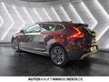 Volvo V40 Cross Country V40 CC T4 Standheizung, Kamera, Keyless Navi AHK L Bruin - thumbnail 4