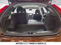 Volvo V40 Cross Country V40 CC T4 Standheizung, Kamera, Keyless Navi AHK L Bruin - thumbnail 15