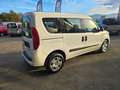 Fiat Doblo Doblo CARGO CH1 1.6 MJT 95CV CON PREZZO REALE! Bianco - thumbnail 6