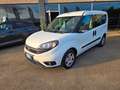Fiat Doblo Doblo CARGO CH1 1.6 MJT 95CV CON PREZZO REALE! Bianco - thumbnail 1