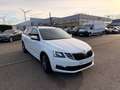 Skoda Octavia 1.0TSI - AUTOMAAT - Airco - €12.990 ALL IN !!! Weiß - thumbnail 9