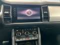 Skoda Kodiaq 2.0 TDI Tour 4x4 ACC FACEL. LED PANO Grau - thumbnail 16
