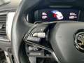 Skoda Kodiaq 2.0 TDI Tour 4x4 ACC FACEL. LED PANO Grau - thumbnail 22
