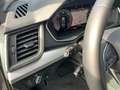 Audi Q5 40 TDI quattro S tronic S line AHK Matrix Cam Grau - thumbnail 13