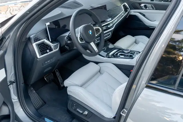 BMW X5 view 11