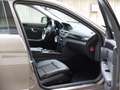 Mercedes-Benz E 200 CDI Avantgarde Automatik Navi AHK Grau - thumbnail 14