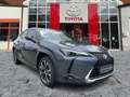 Lexus UX 250h Style Edition CloudNavi*KAM*DAB*SHZ Grau - thumbnail 7