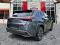 Lexus UX 250h Style Edition CloudNavi*KAM*DAB*SHZ Grau - thumbnail 6