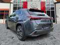 Lexus UX 250h Style Edition CloudNavi*KAM*DAB*SHZ Grau - thumbnail 5